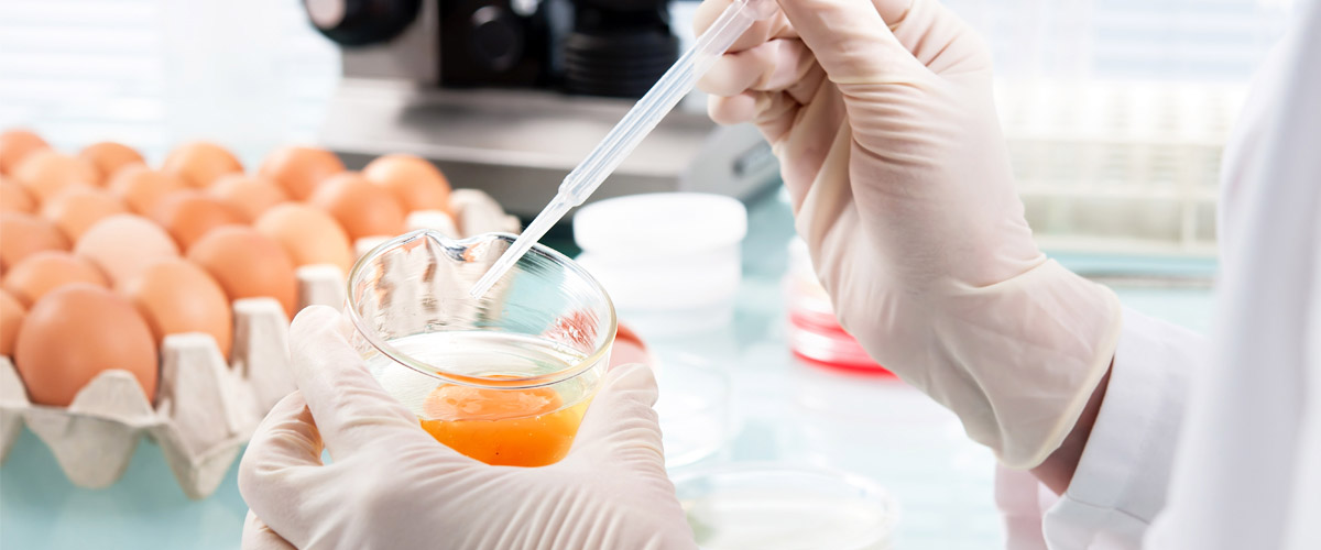 SIKA 校準意味著 ─ 您和您的客戶的安全